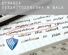 Doradca ubezpieczeniowy w  Balk