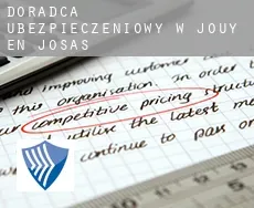 Doradca ubezpieczeniowy w  Jouy-en-Josas