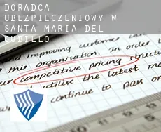 Doradca ubezpieczeniowy w  Santa María del Cubillo
