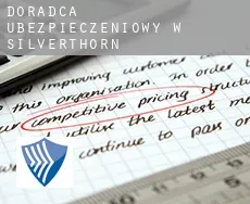 Doradca ubezpieczeniowy w  Silverthorn