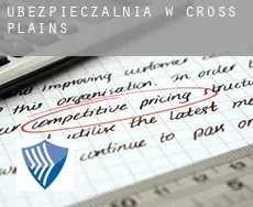 Ubezpieczalnia w  Cross Plains