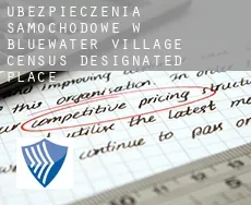 Ubezpieczenia samochodowe w  Bluewater Village