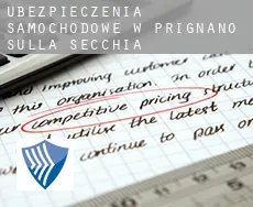 Ubezpieczenia samochodowe w  Prignano sulla Secchia