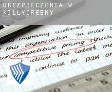 Ubezpieczenia w  Killycreeny
