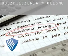 Ubezpieczenia w Olesno
