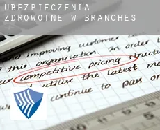Ubezpieczenia zdrowotne w Branches