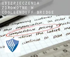 Ubezpieczenia zdrowotne w Cooleenduff Bridge