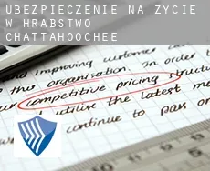 Ubezpieczenie na życie w  Hrabstwo Chattahoochee