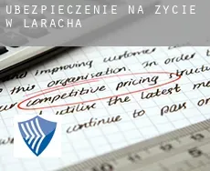Ubezpieczenie na życie w  Laracha