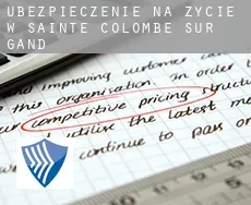 Ubezpieczenie na życie w  Sainte-Colombe-sur-Gand