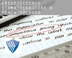 Ubezpieczenie stomatologiczne w Peach Orchard