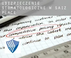 Ubezpieczenie stomatologiczne w  Saiz Place