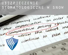 Ubezpieczenie stomatologiczne w  Snow