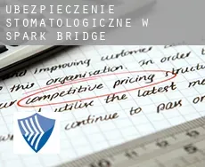 Ubezpieczenie stomatologiczne w  Spark Bridge