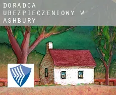 Doradca ubezpieczeniowy w  Ashbury