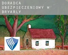 Doradca ubezpieczeniowy w  Bryarly