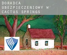 Doradca ubezpieczeniowy w  Cactus Springs