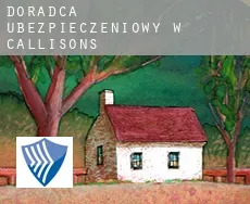 Doradca ubezpieczeniowy w Callisons