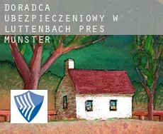 Doradca ubezpieczeniowy w  Luttenbach-près-Munster