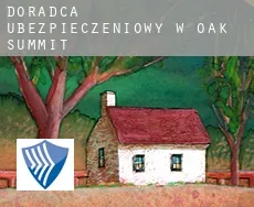 Doradca ubezpieczeniowy w  Oak Summit