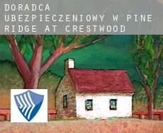 Doradca ubezpieczeniowy w  Pine Ridge at Crestwood