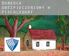 Doradca ubezpieczeniowy w  Pischlsdorf