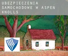 Ubezpieczenia samochodowe w  Aspen Knolls