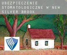 Ubezpieczenie stomatologiczne w  New Silver Brook