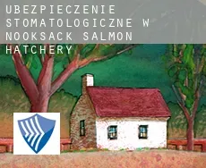 Ubezpieczenie stomatologiczne w  Nooksack Salmon Hatchery