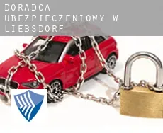 Doradca ubezpieczeniowy w  Liebsdorf