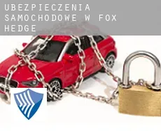 Ubezpieczenia samochodowe w  Fox Hedge
