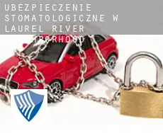 Ubezpieczenie stomatologiczne w Laurel River Neighborhood