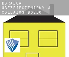 Doradca ubezpieczeniowy w  Collazos de Boedo