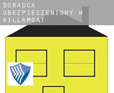 Doradca ubezpieczeniowy w Killamoat