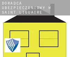 Doradca ubezpieczeniowy w  Saint-Liguaire