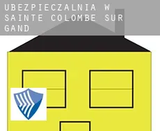 Ubezpieczalnia w  Sainte-Colombe-sur-Gand