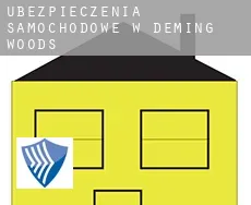 Ubezpieczenia samochodowe w Deming Woods