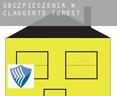 Ubezpieczenia w  Claggerts Forest