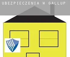 Ubezpieczenia w  Gallup