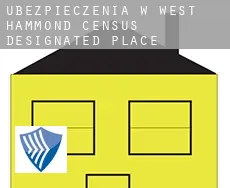 Ubezpieczenia w  West Hammond