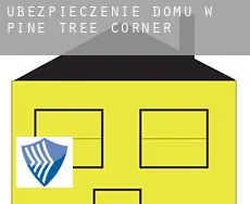 Ubezpieczenie domu w  Pine Tree Corner
