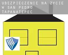 Ubezpieczenie na życie w  San Pedro Tapanatepec