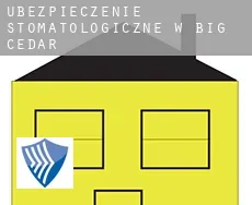 Ubezpieczenie stomatologiczne w  Big Cedar