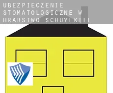 Ubezpieczenie stomatologiczne w  Hrabstwo Schuylkill