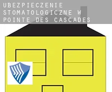 Ubezpieczenie stomatologiczne w  Pointe-des-Cascades