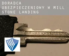 Doradca ubezpieczeniowy w  Mill Stone Landing