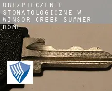 Ubezpieczenie stomatologiczne w  Winsor Creek Summer Home
