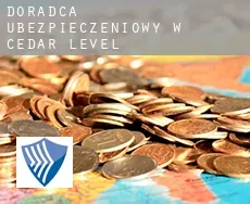 Doradca ubezpieczeniowy w Cedar Level