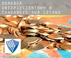 Doradca ubezpieczeniowy w  Chavannes-sur-l'Étang