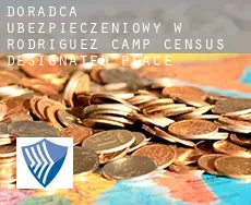 Doradca ubezpieczeniowy w  Rodriguez Camp